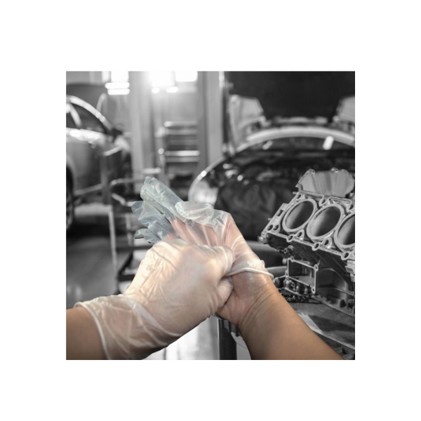 Shield GD09 Clear Vinyl PF Disposable Glove (10 x 100)