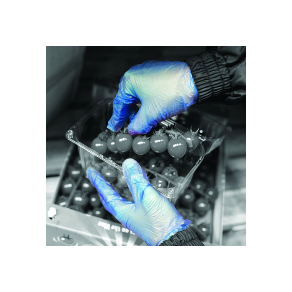 Shield GD11 Blue Vinyl Powdered Disposable Glove (10 x 100)