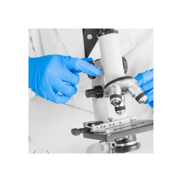 Shield GD19 Blue Nitrile PF Disposable Glove (10 x 100)