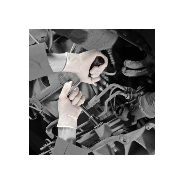 Shield GD05 Natural Latex PF Disposable Glove (10 x 100)