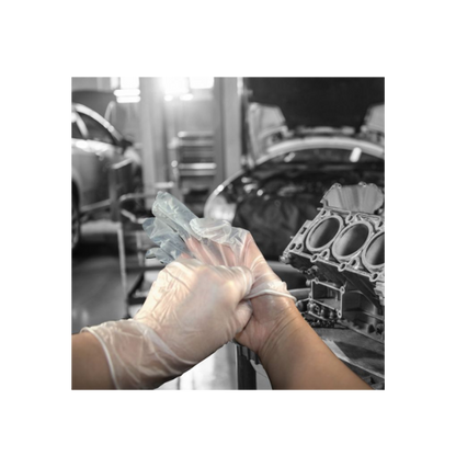 Shield GD09 Clear Vinyl PF Disposable Glove (10 x 100)