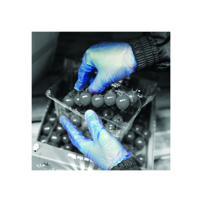Shield GD11 Blue Vinyl Powdered Disposable Glove (10 x 100)